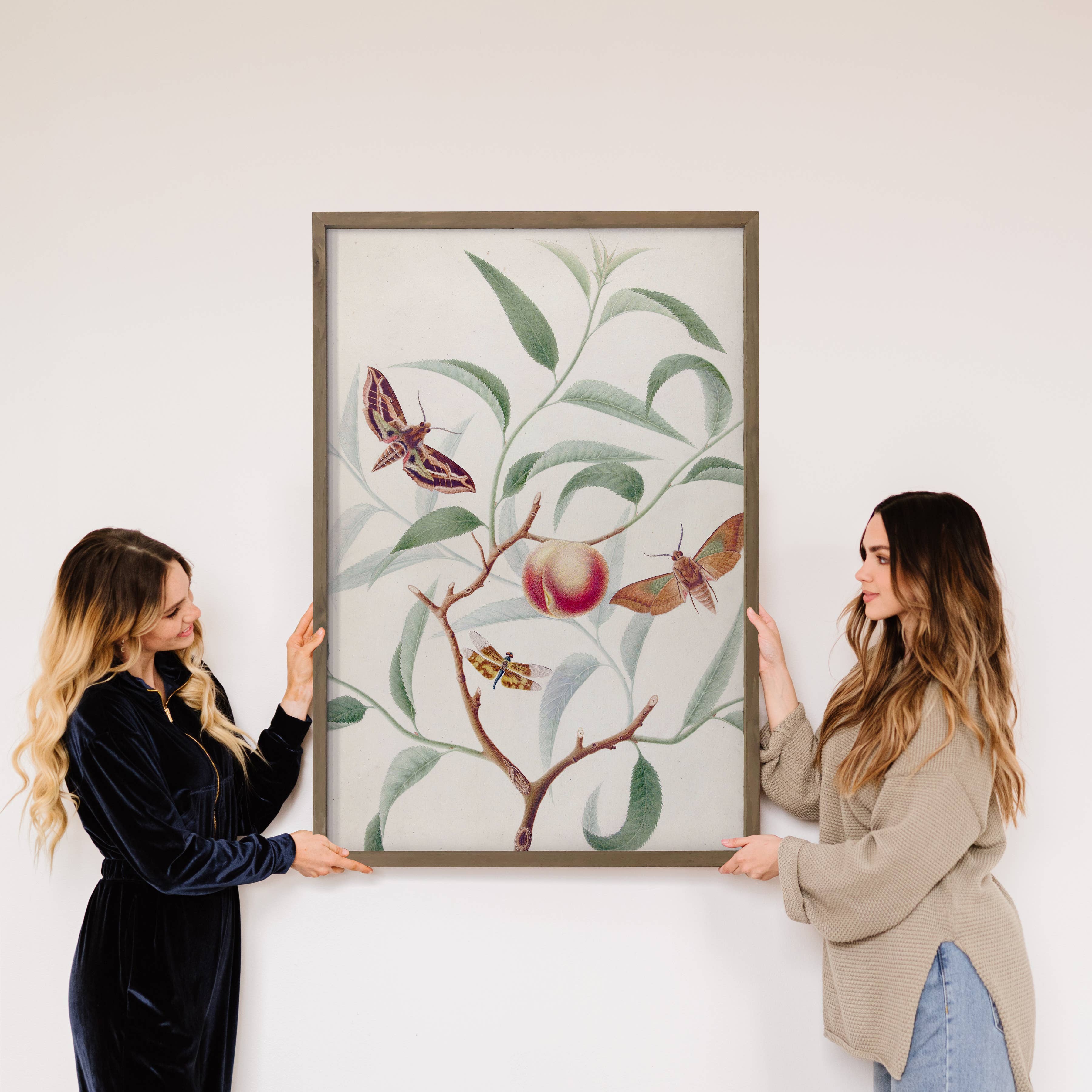Peach and Moths - Nature Canvas Art - Wood Framed Wall Art