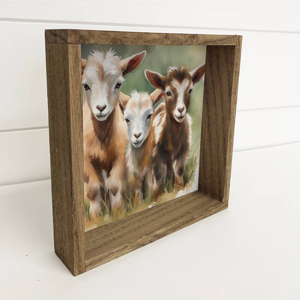 Three Baby Goats - Watercolor Painting on Canvas Framed