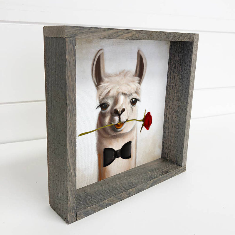 Funny Valentines Card Sign - Romantic Llama with Rose