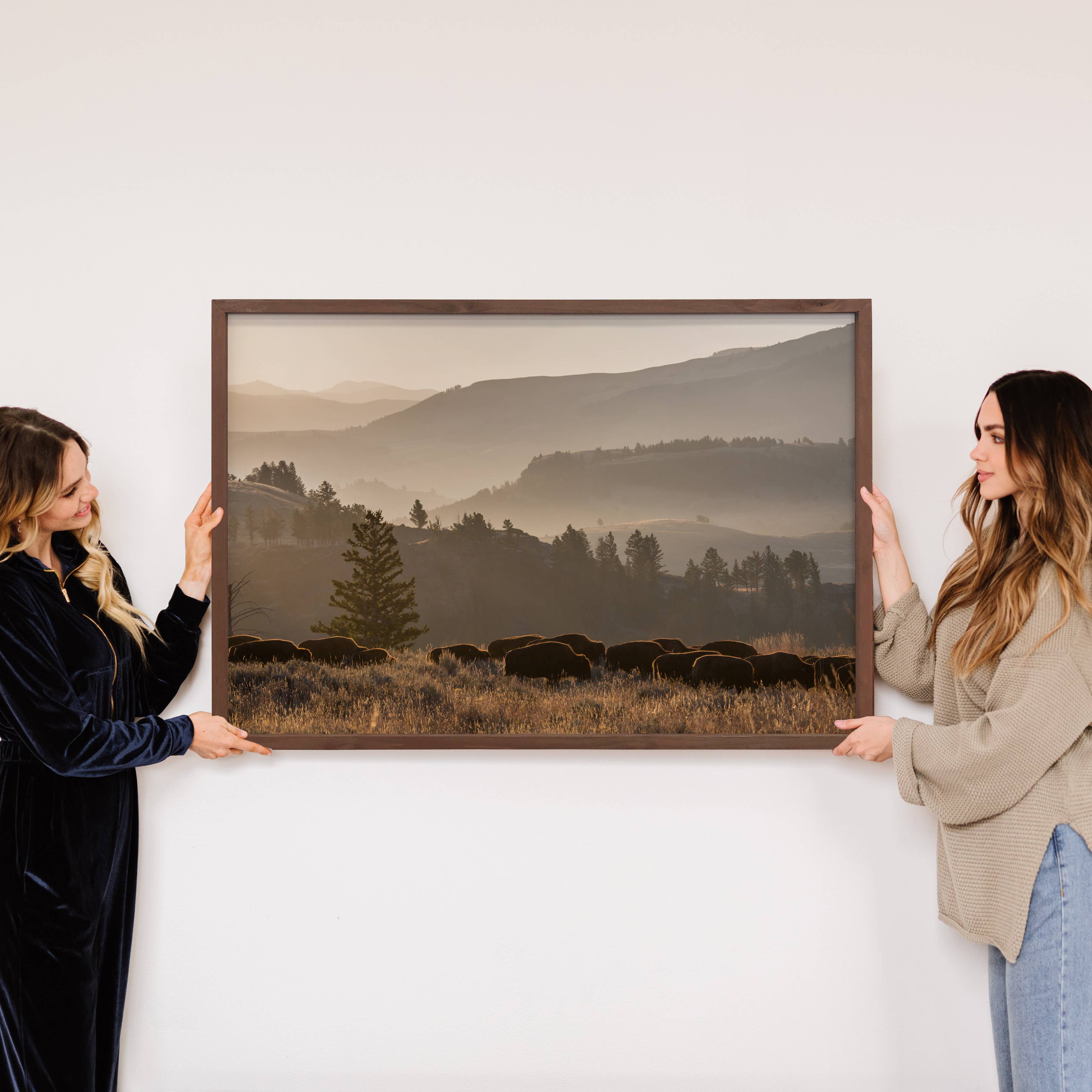 Yellowstone Bison Herd - Framed Wildlife Photograph - Ranch