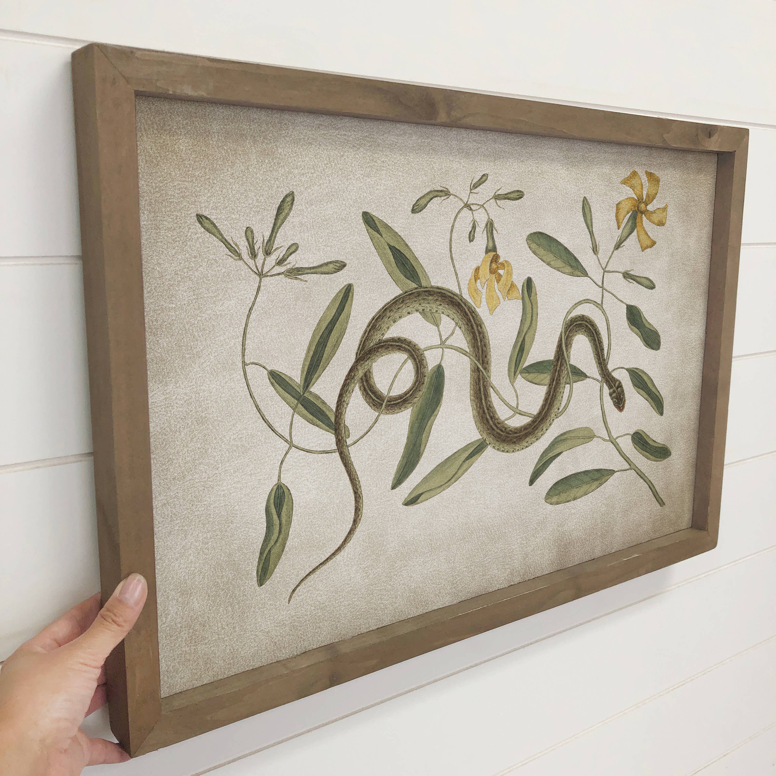 Snake & Yellow Flowers - Snake Canvas Art - Wood Framed Art
