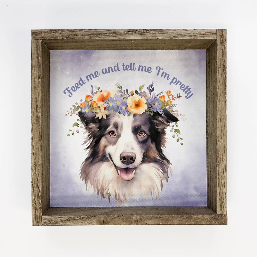 Border Collie - Feed Me & Tell Me I'm Pretty - Framed Art