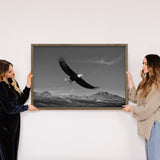 Flying Eagle - Framed Animal Photograph - Mountain Cabin Art