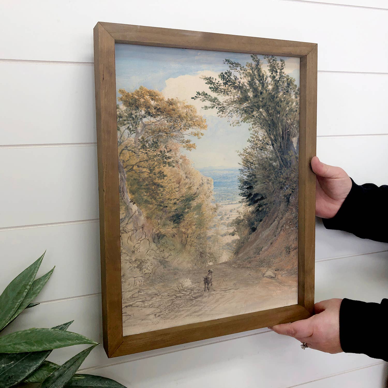 Dog on a Path - Dog Canvas Art - Wood Framed Wall Art