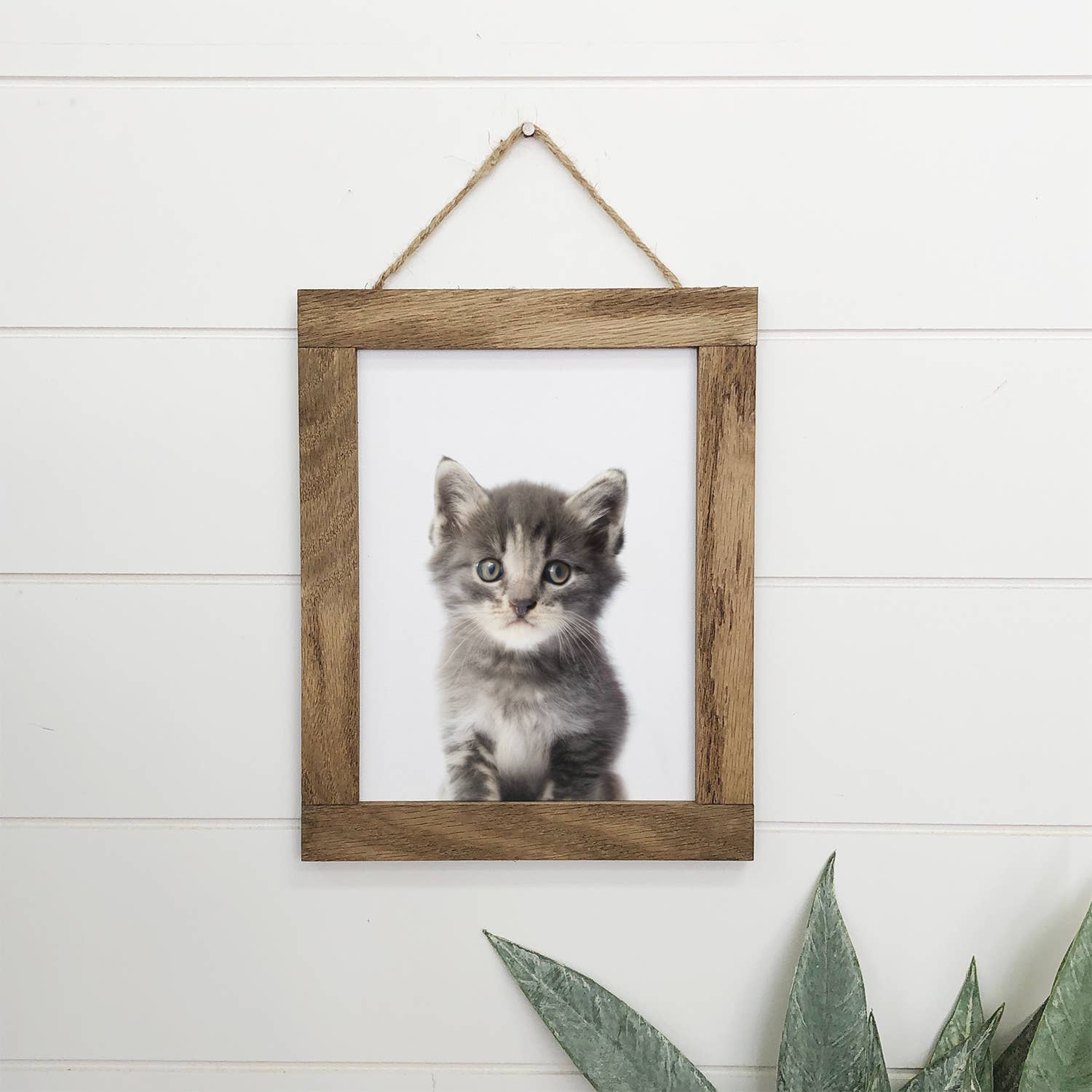 Baby Cat Wood Sign Kitten Cute Kid's Room Animal Wall Art