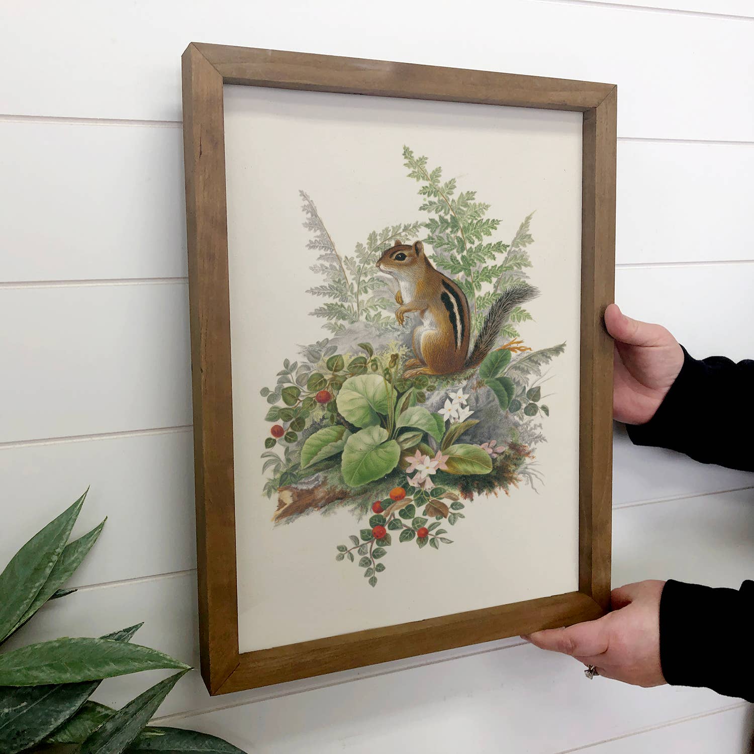 Chipmunk and Berries - Forest Animal Canvas Art - Wood Frame