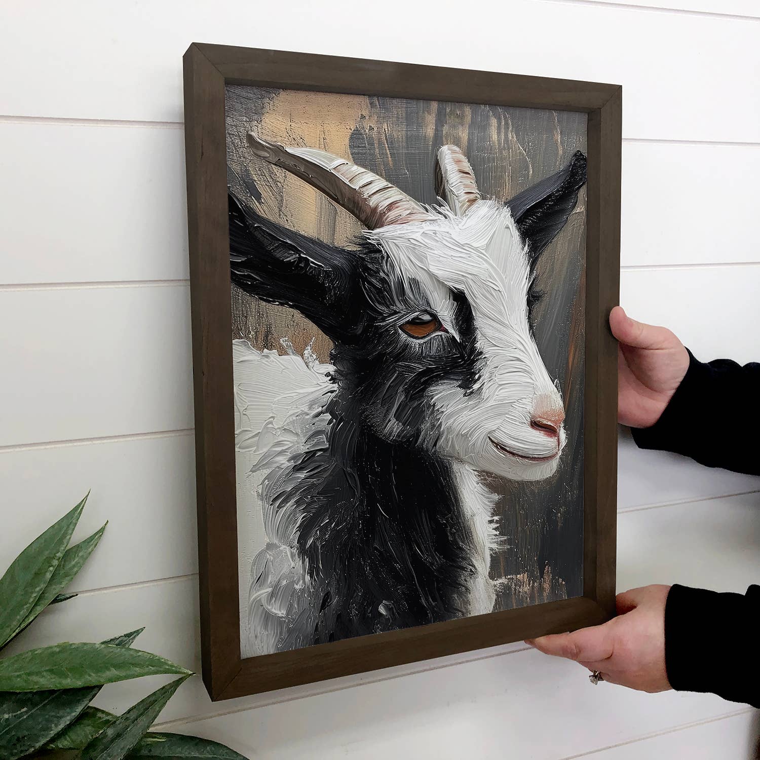 Black and White Baby Goat - Farm Animal Canvas Art - Framed