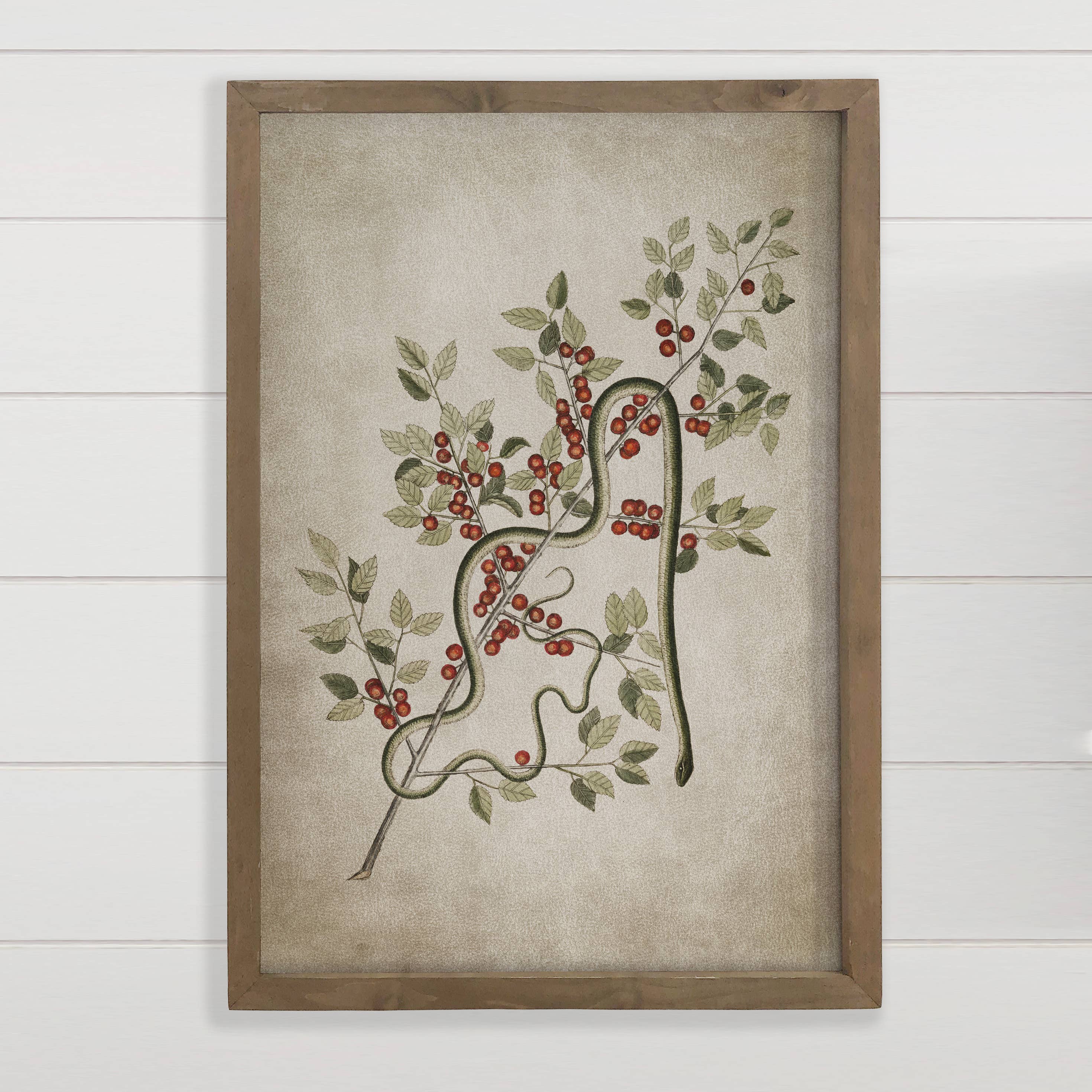 Snake and Poison Berries - Snake Canvas Art - Wood Framed