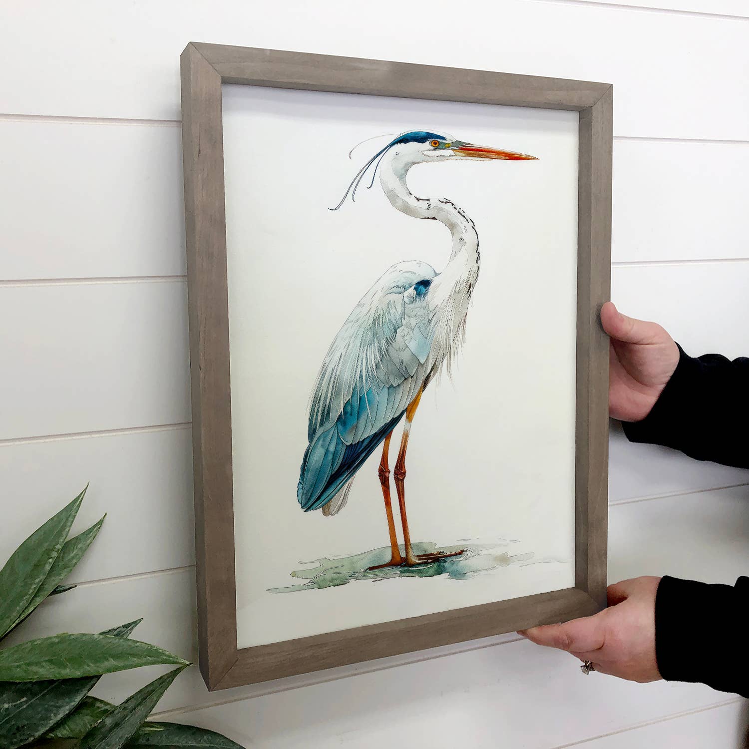 Blue Crane - Bird Canvas Wall Art - Wood Framed Wall Art