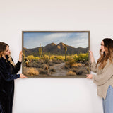 Arizona Desert - Framed Nature Photograph - Canvas Wall Art