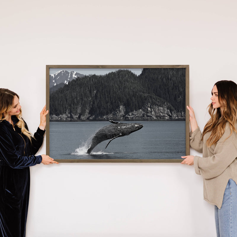 Humpback Whale Pacific Coast - Framed Animal Photography Art