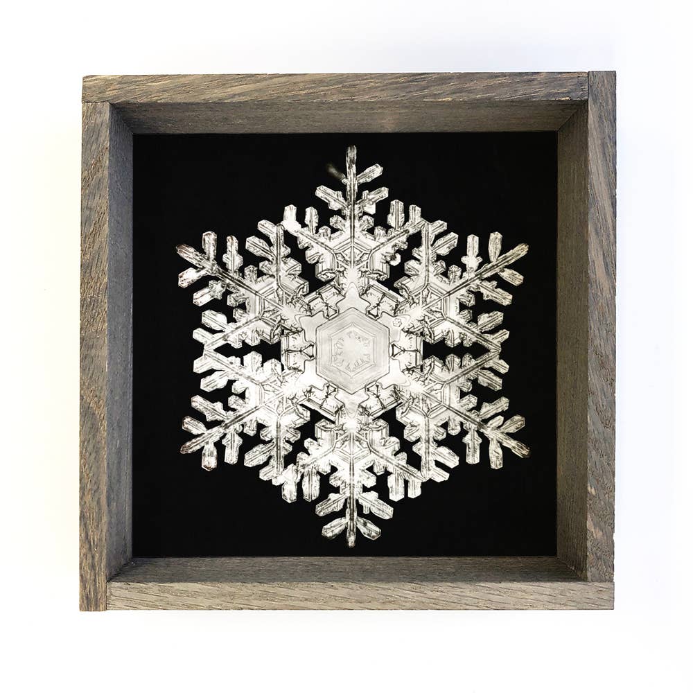 Real Snowflake 3 - Winter Canvas Wall Art - Snowflake Decor