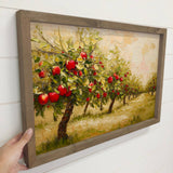 Apple Orchard Harvest - Apple Tree Canvas Art - Wood Framed