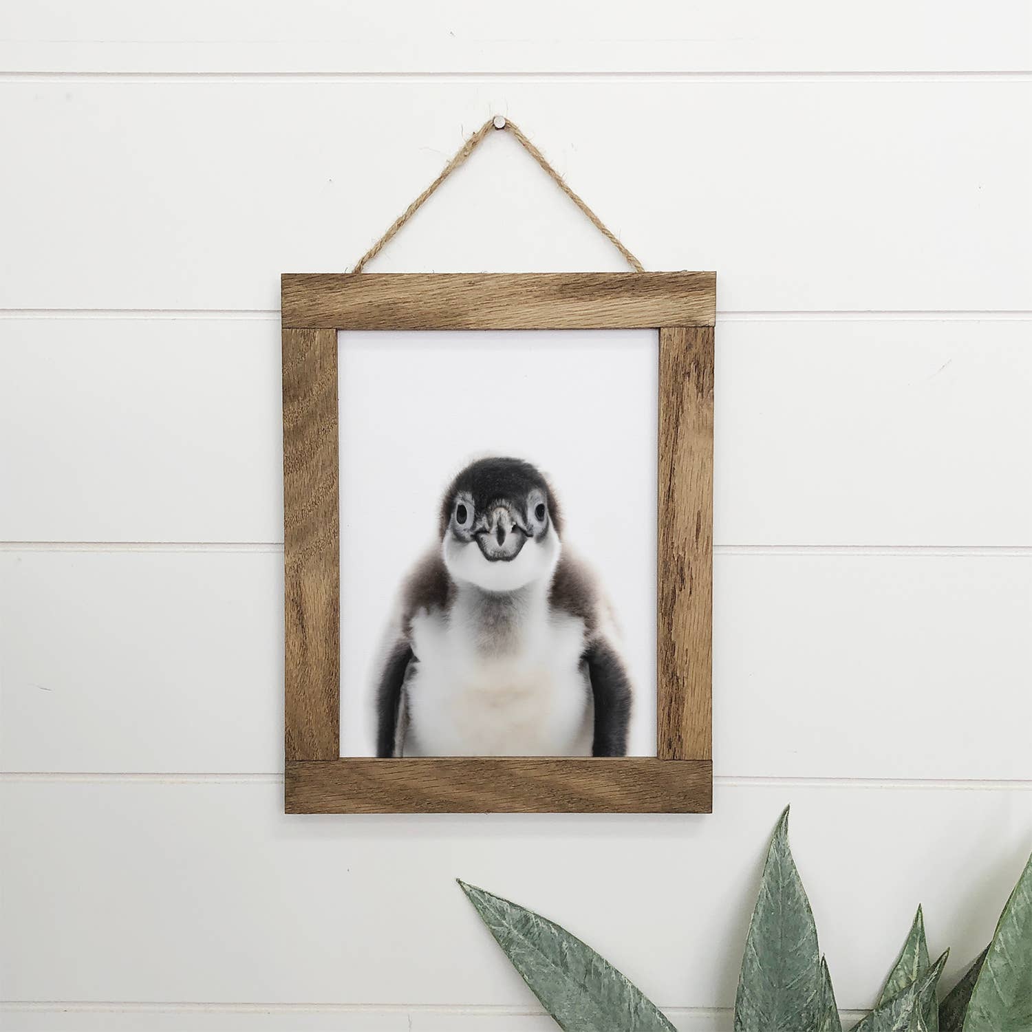 Baby Penguin Wood Sign Cute Animal Bird Wall Art