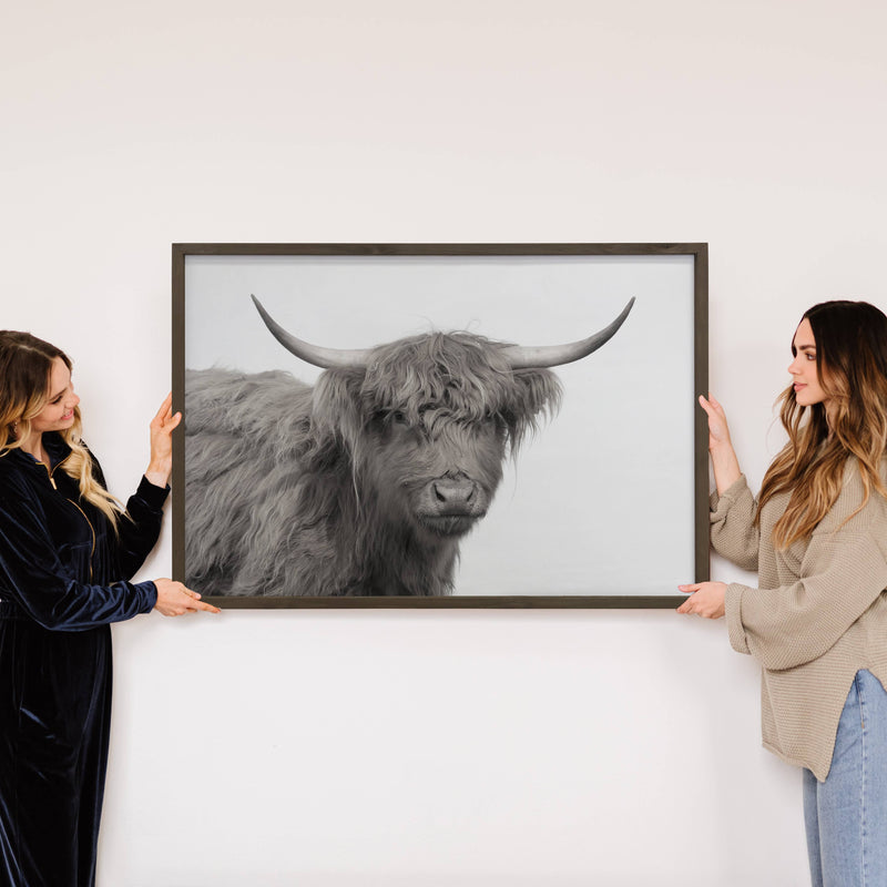 Highland Cow Face - Farmhouse Wall Art - Framed Animal Photo