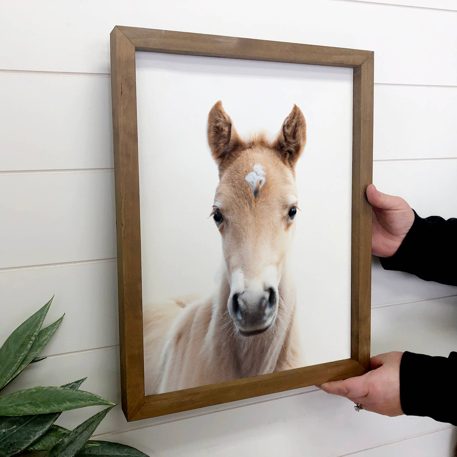 Baby Horse Wood Farmhouse Sign Cute Animal Wall Art
