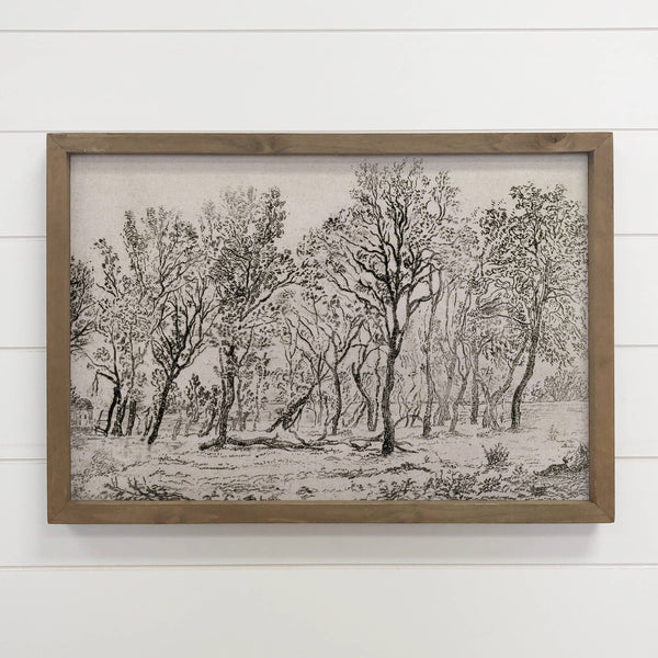 Black and White Grove of Trees - Nature Sketch Canvas Art