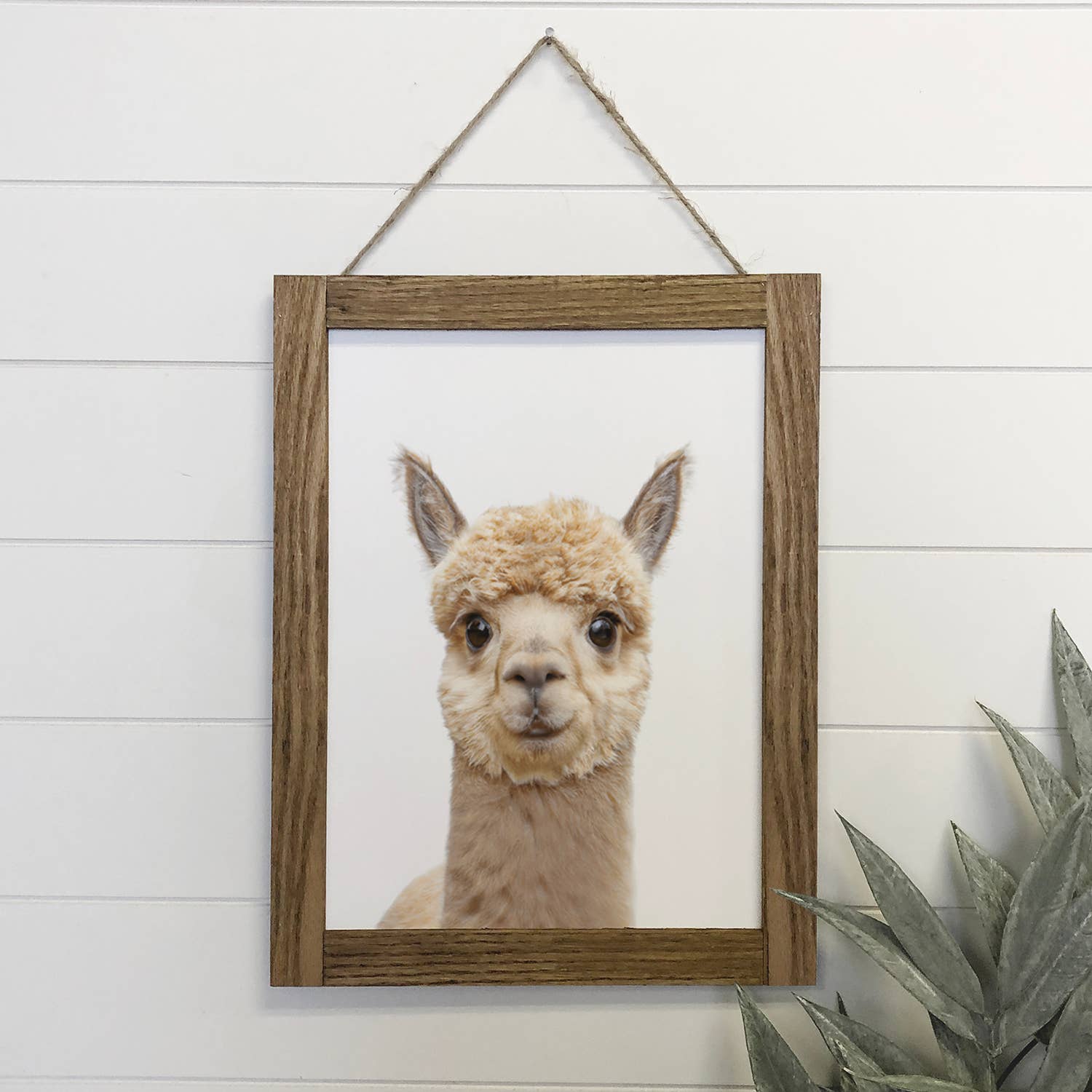 Baby Alpaca Wood Farmhouse Sign Cute Nursery Wall Art