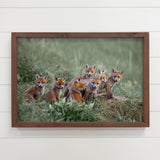 Baby Fox Pups - Wildlife Photography Canvas Art - Wood Frame