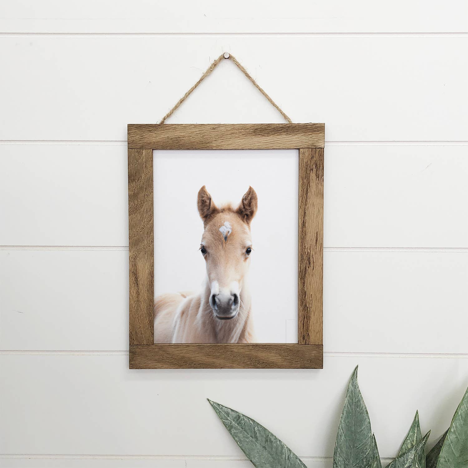 Baby Horse Wood Farmhouse Sign Cute Animal Wall Art