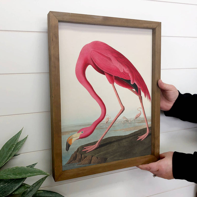 Audubon Pink Flamingo - Lake House Wall Decor - Canvas Art