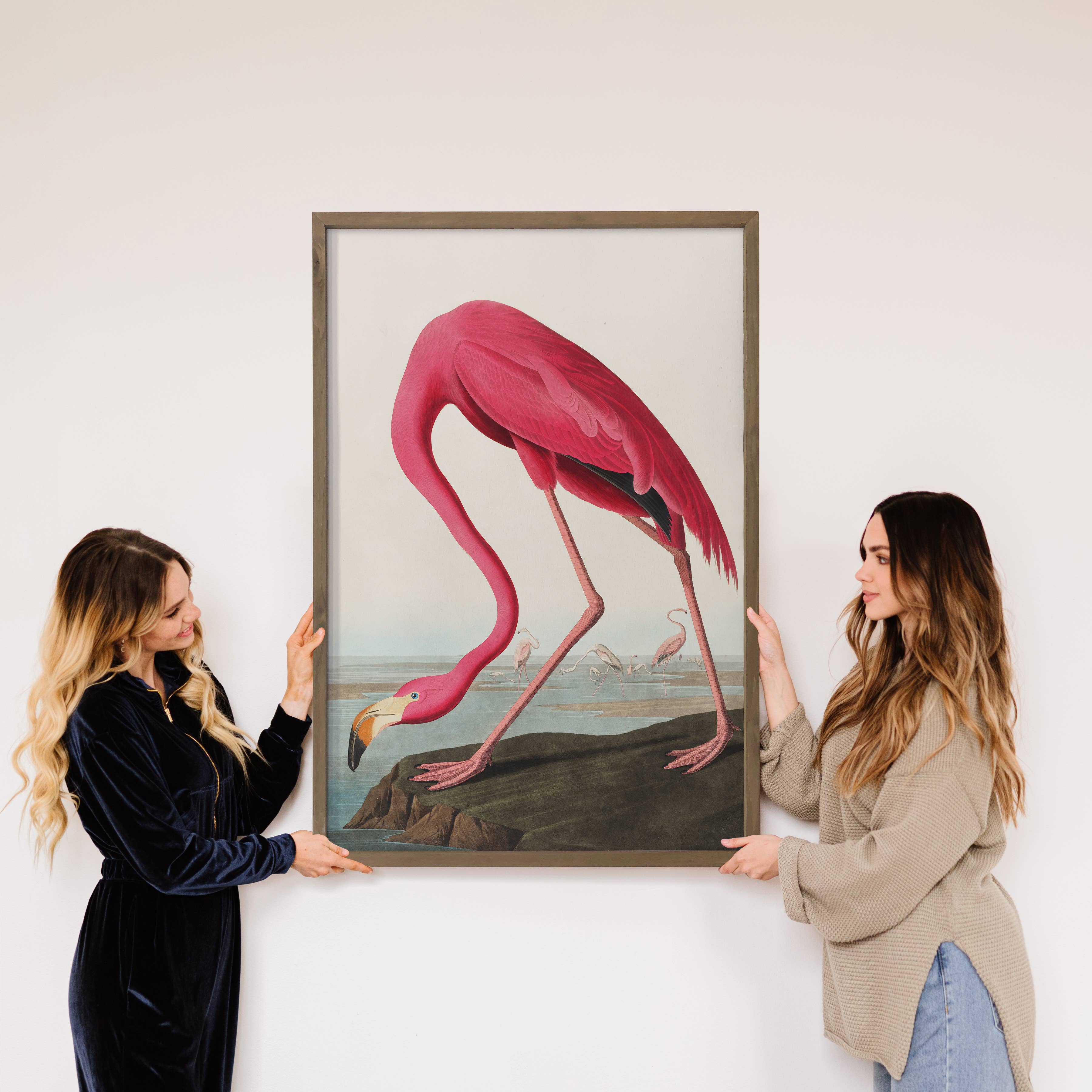 Audubon Pink Flamingo - Lake House Wall Decor - Canvas Art