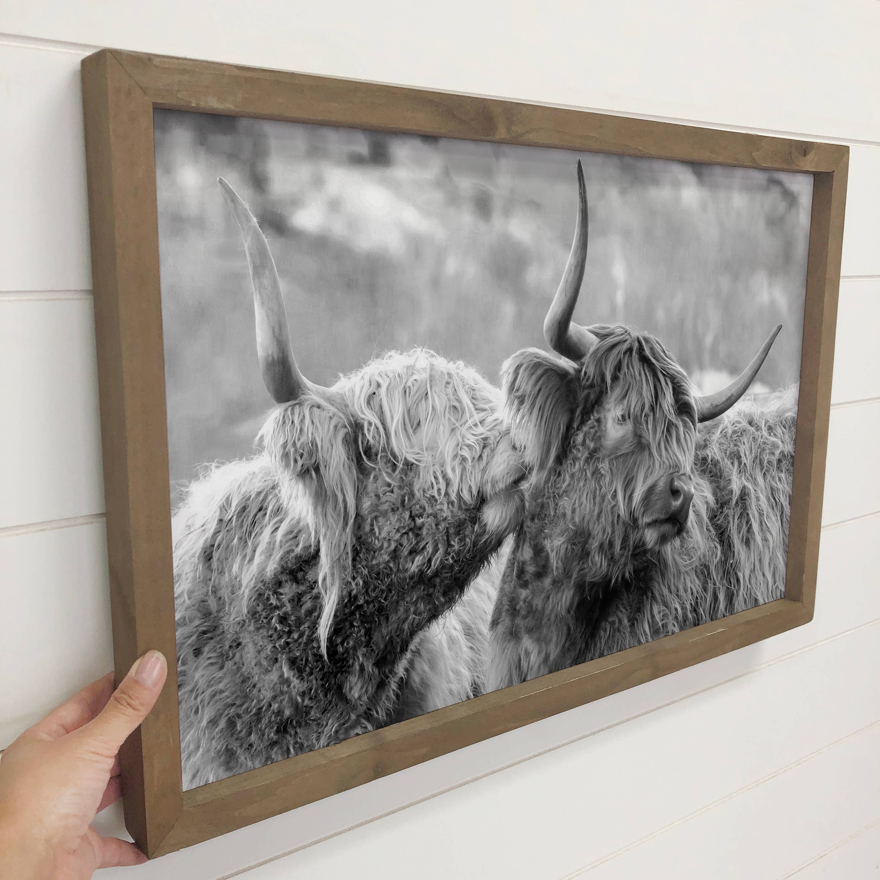 Highland Cows Kissing - Animal Photograph - Wood Framed Art