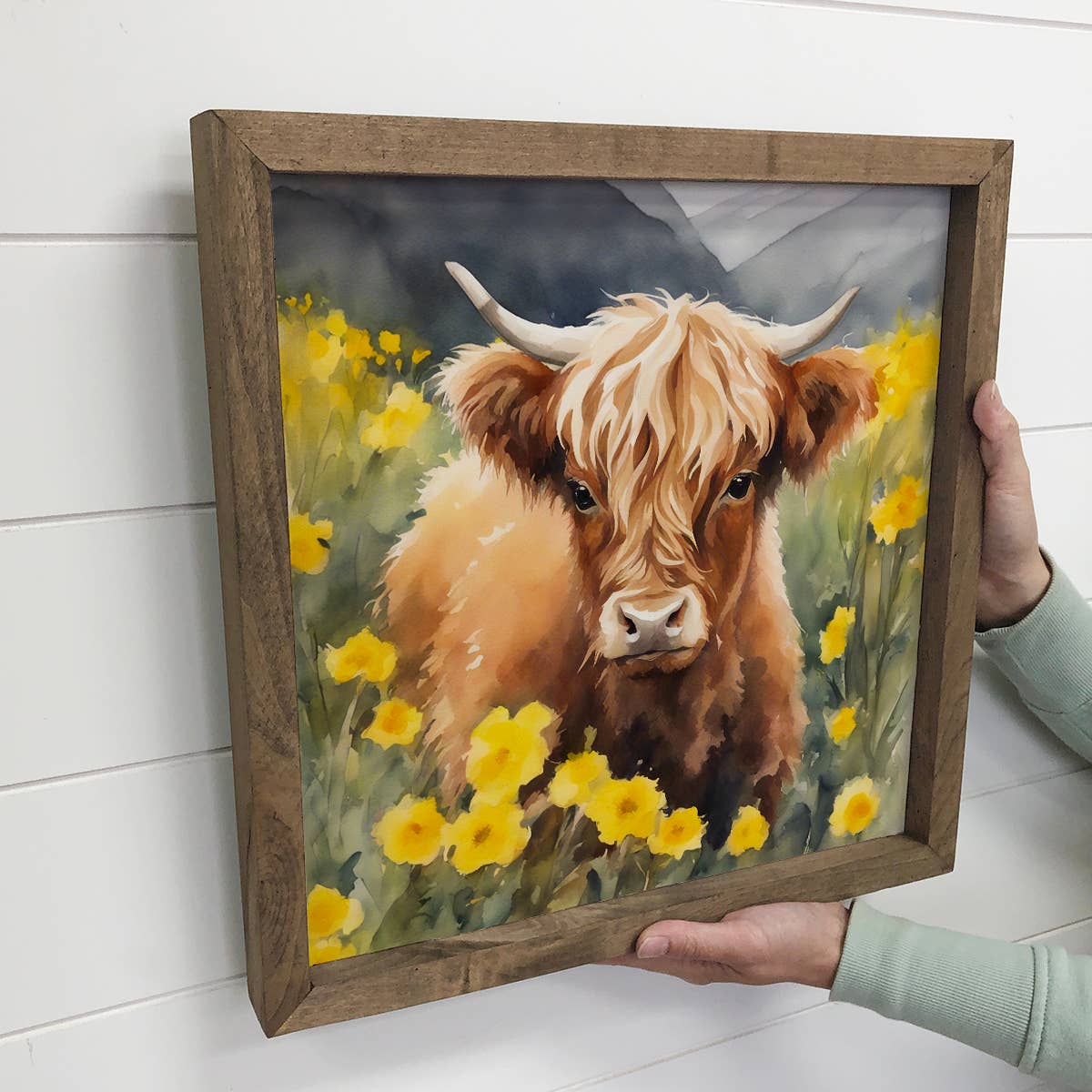 Highland Cow Daffodils - Highland Cow Canvas Art -  Framed