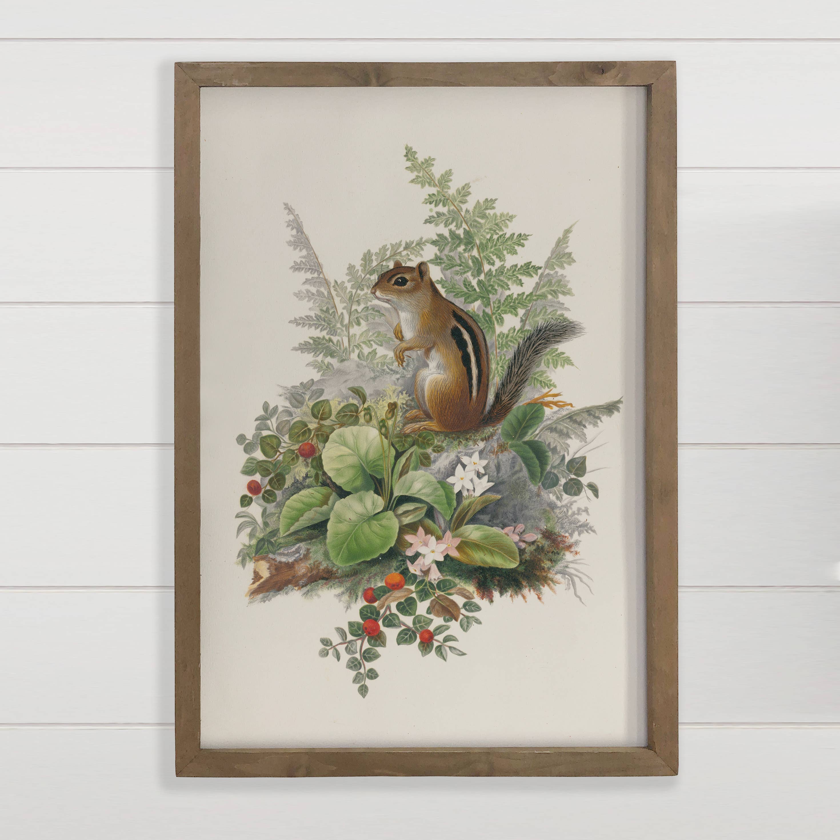 Chipmunk and Berries - Forest Animal Canvas Art - Wood Frame