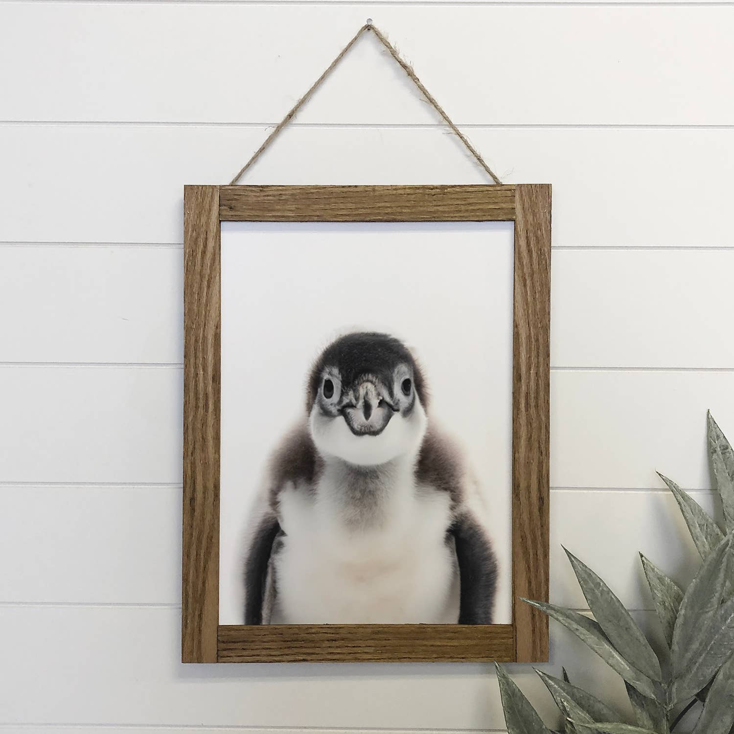 Baby Penguin Wood Sign Cute Animal Bird Wall Art