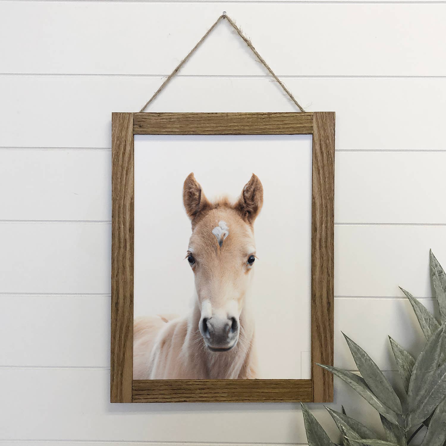 Baby Horse Wood Farmhouse Sign Cute Animal Wall Art