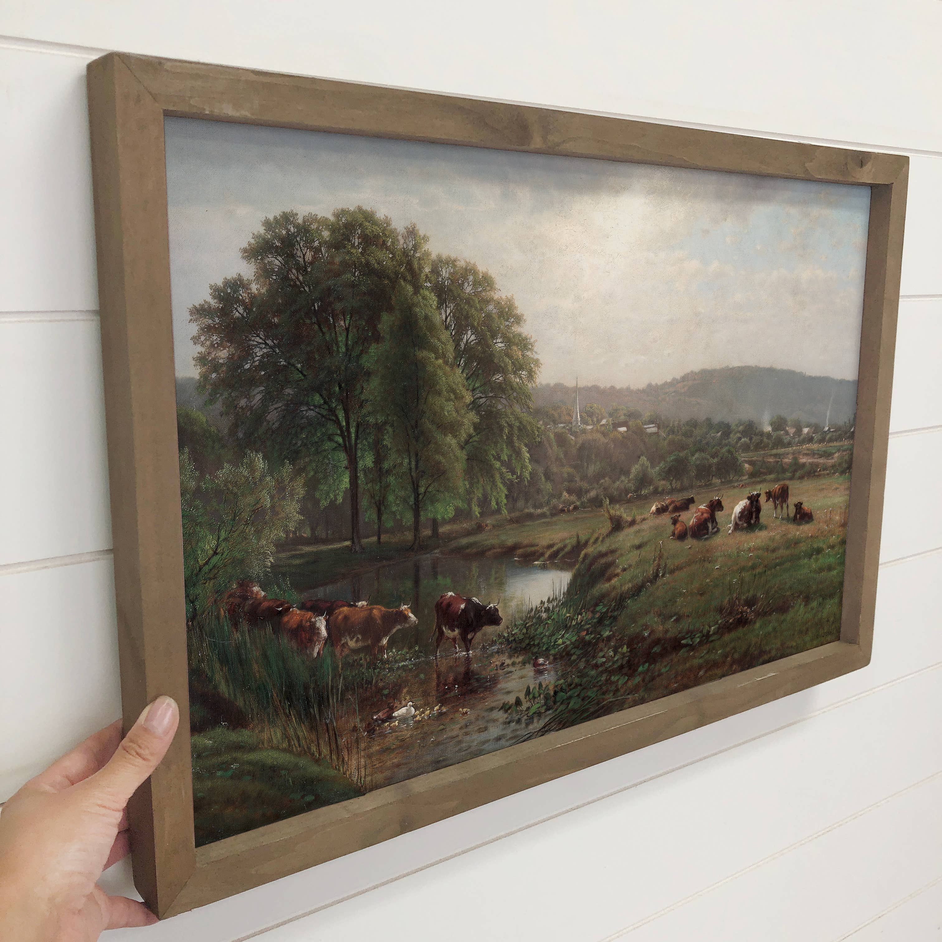 New England Cows - Cows Canvas Art - Wood Framed Wall Art