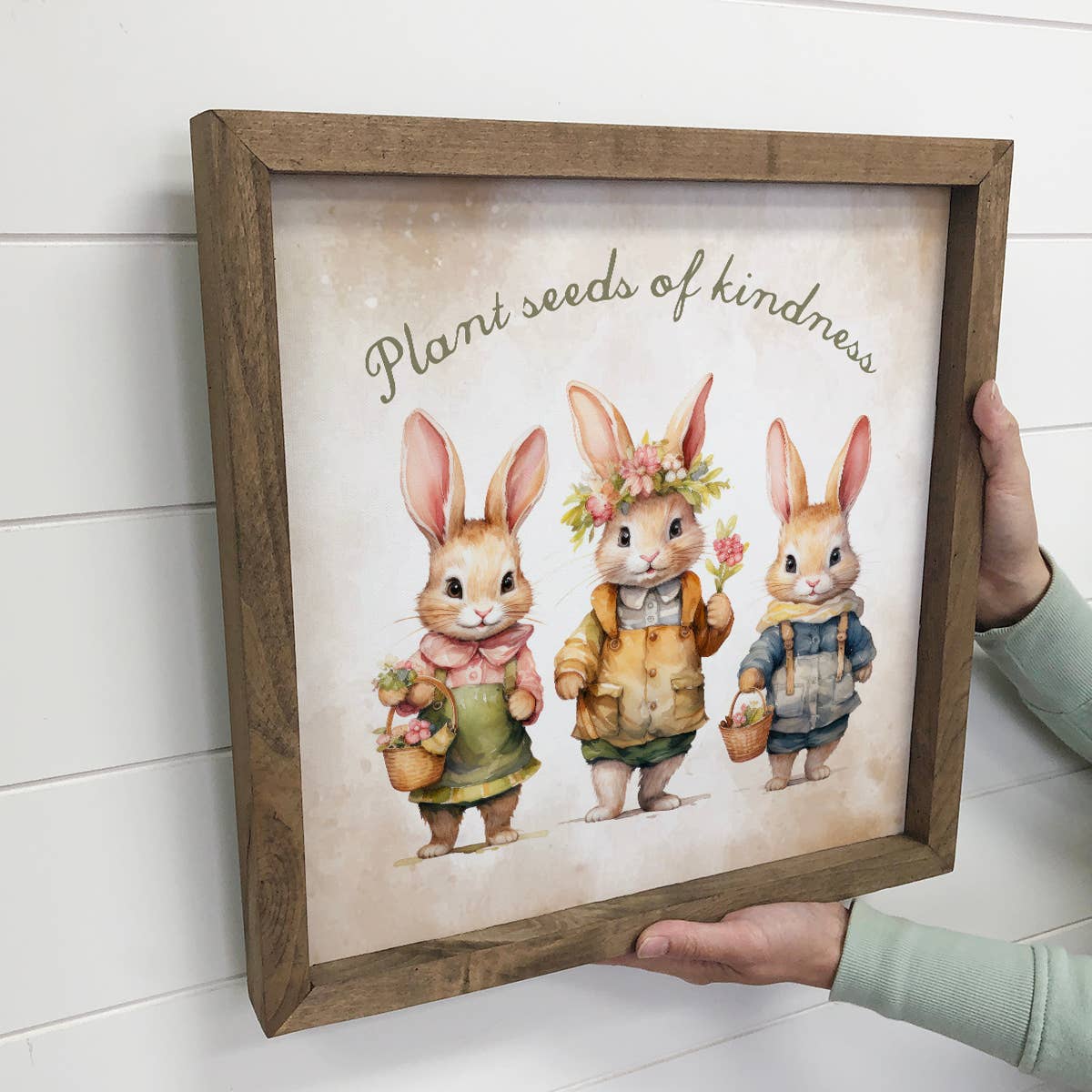 Plant Seeds of Kindness - Spring Time Bunny Canvas Art