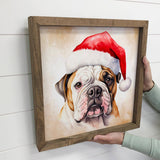 English Bulldog Santa Hat - Cute Holiday Animal Canvas Art