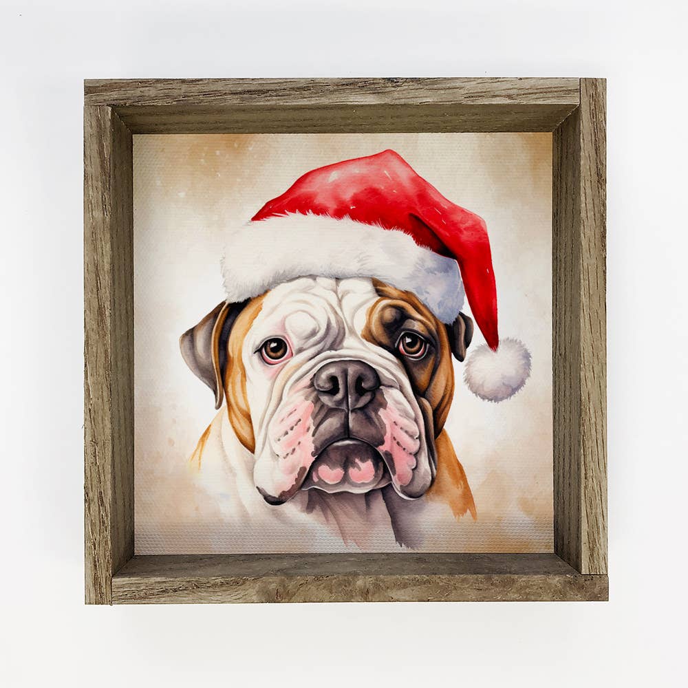 English Bulldog Santa Hat - Cute Holiday Animal Canvas Art