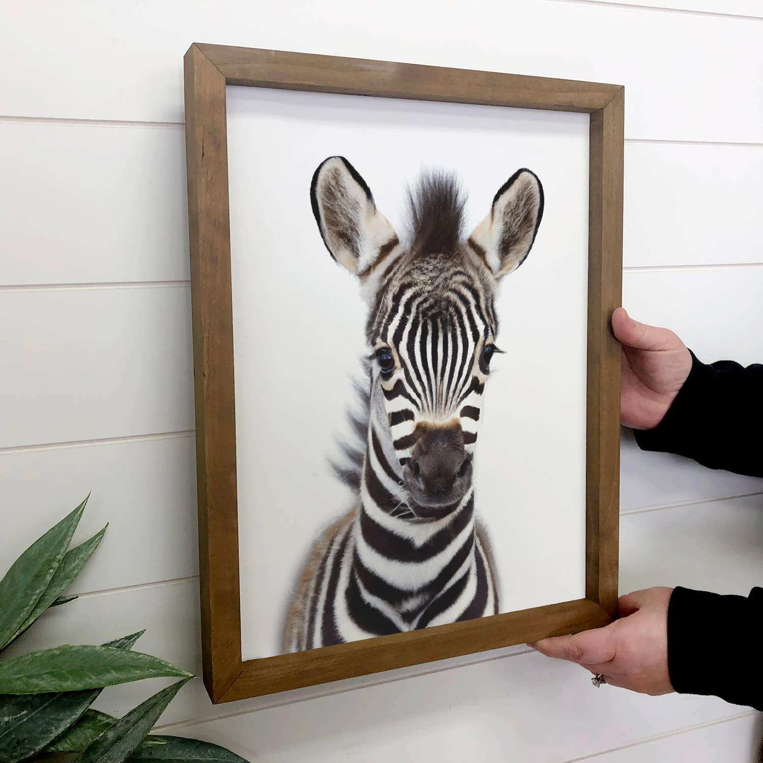 Baby Zebra Wood Sign Cute Animal Wall Art