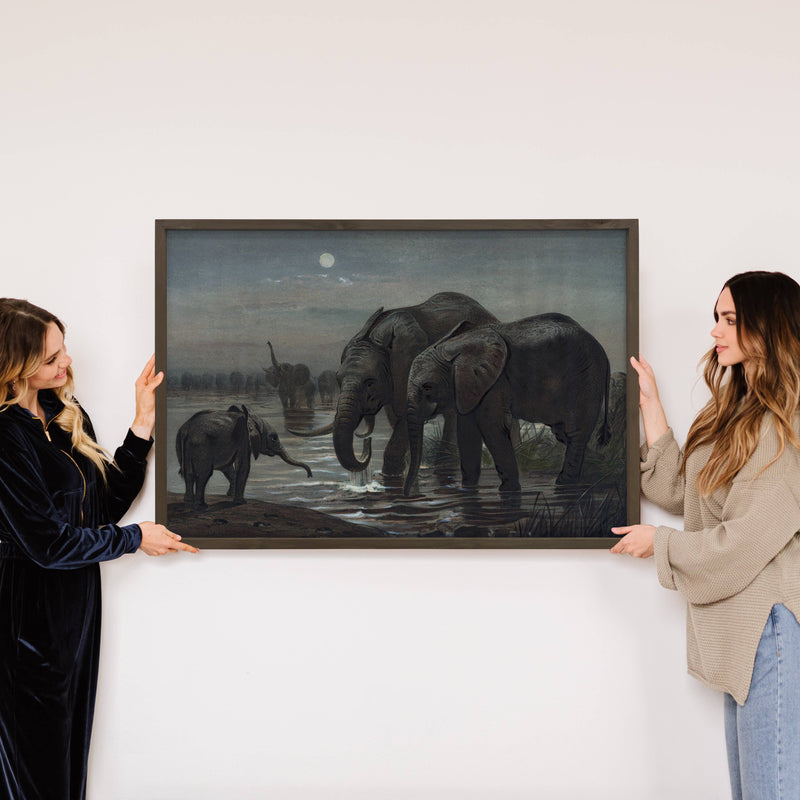 African Elephants in the Moonlight - Elephant Canvas Art