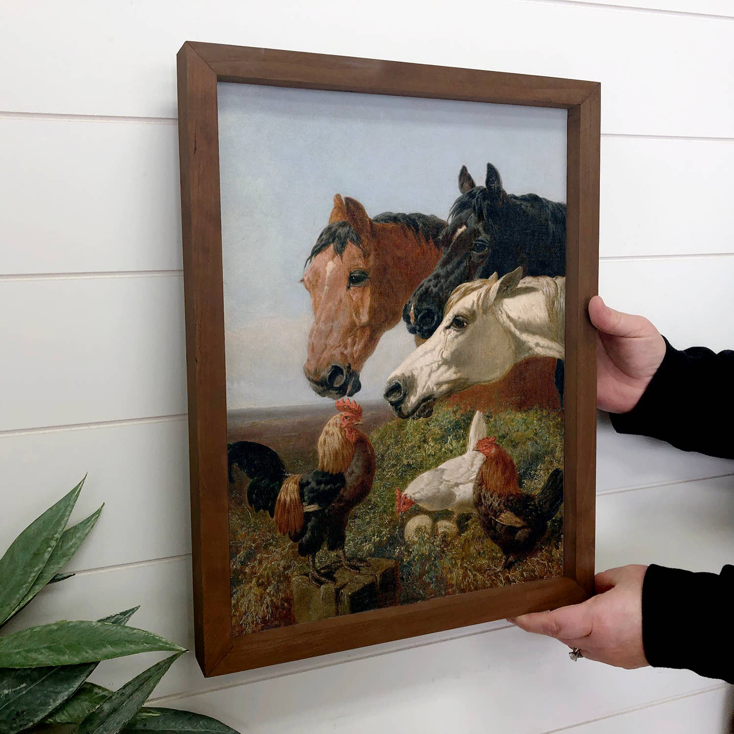 Horses and Chickens - Farm Animal Canvas Art - Wood Framed