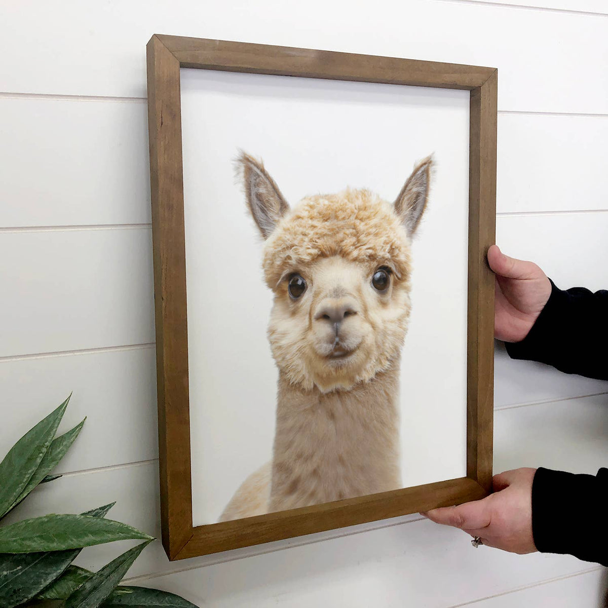 Alpaca Sign Baby Alpaca Wood Farmhouse Sign Cute Nursery Wall Art