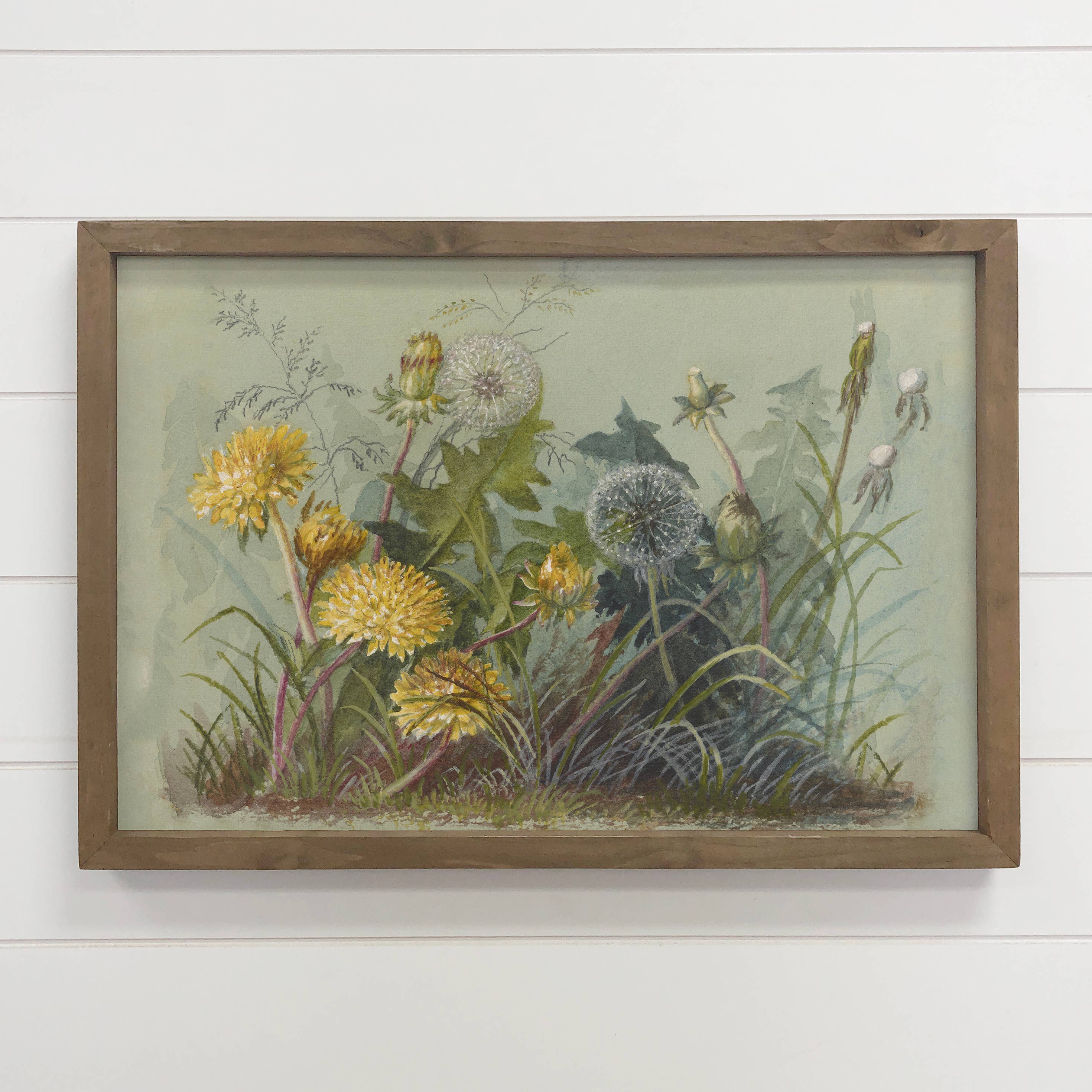 Dandelion Botanicals - Flower Canvas Art - Wood Framed Art
