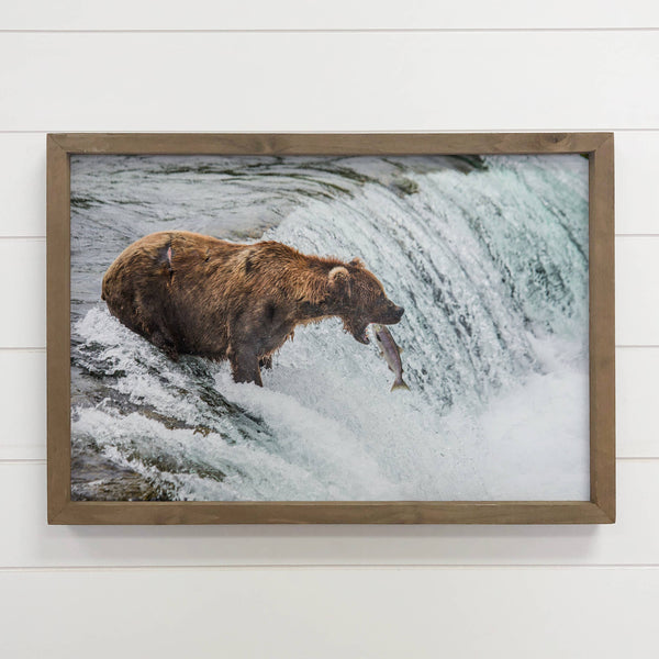 Bear Catching Salmon - Wildlife Photography - Wood Framed