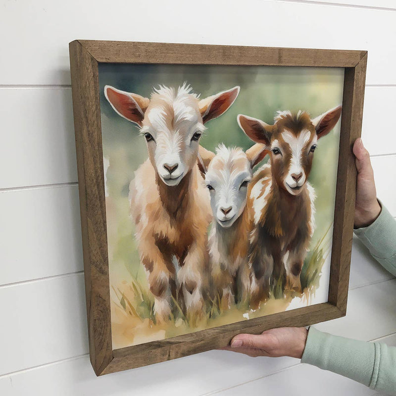 Three Baby Goats - Watercolor Painting on Canvas Framed