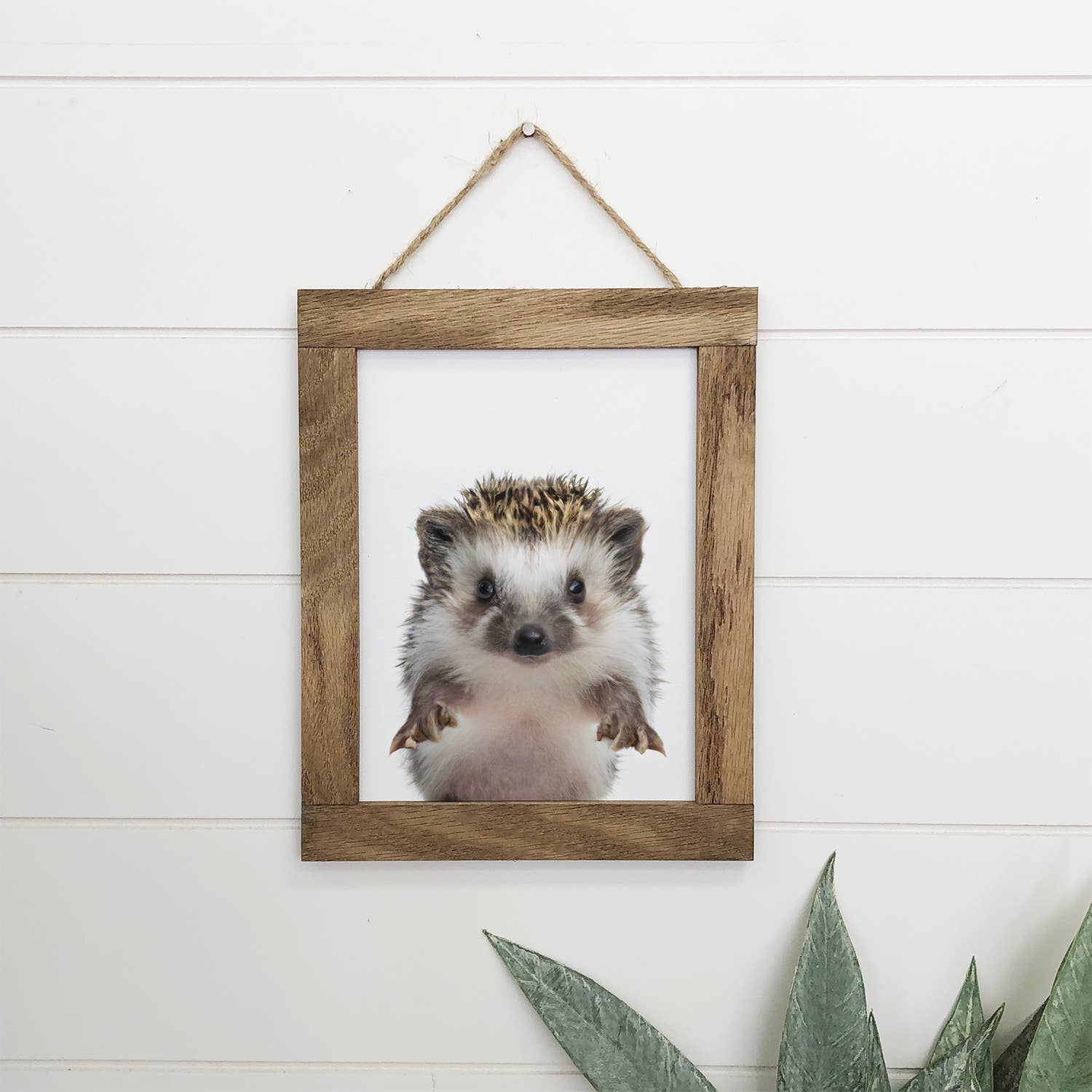 Baby Hedgehog Wood Sign Cute Animal Wall Art