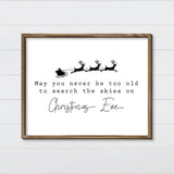 You Can Never Be Too Old Canvas & Wood Sign Wall Art