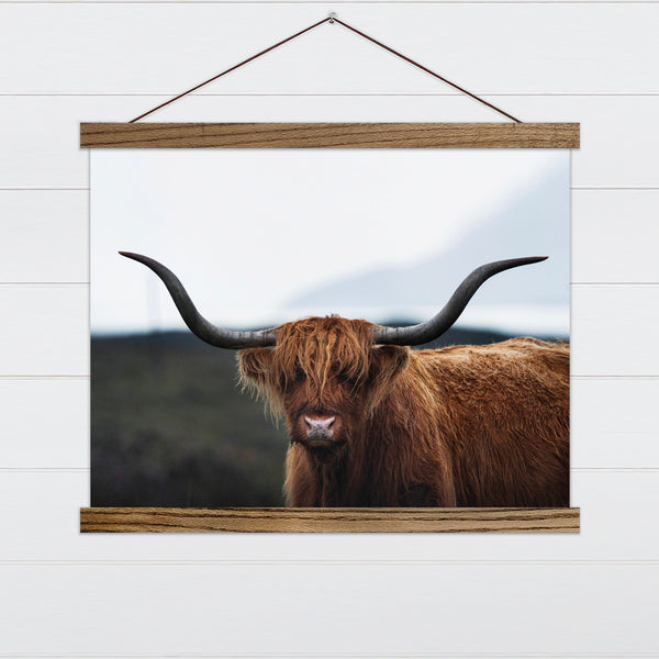 Big Horn Highland Cow Canvas & Wood Sign Wall Art