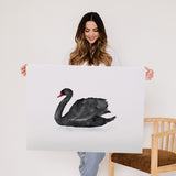 Black Swan Watercolor - Wall Art Print