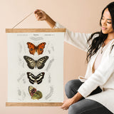 Butterfly Chart Canvas & Wood Sign Wall Art
