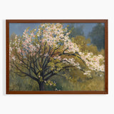 Cherry Blossom Trees Pink and White Fine Art Print - Giclee Fine Art Print Poster or Canvas