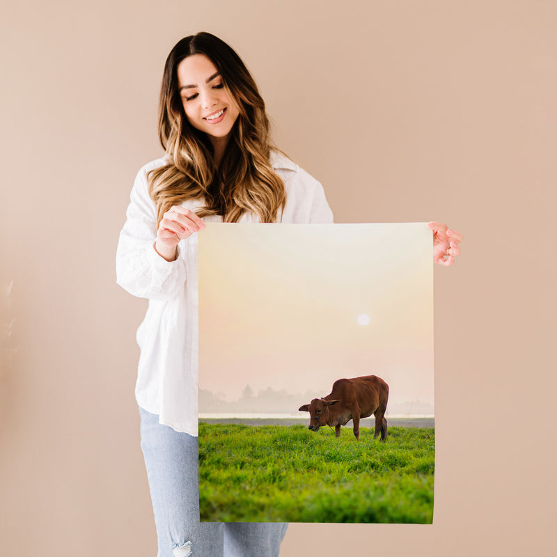 Cow Grazing on Green Grassy Field  Fine Art Print - Giclee Fine Art Print Poster or Canvas