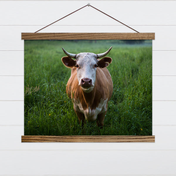 Cow in Tall Grass Canvas & Wood Sign Wall Art